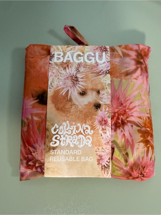 BAGGU Handbags - BAGGU x Collina Strada Spikey Puppy Standard Reusable Bag - NWT